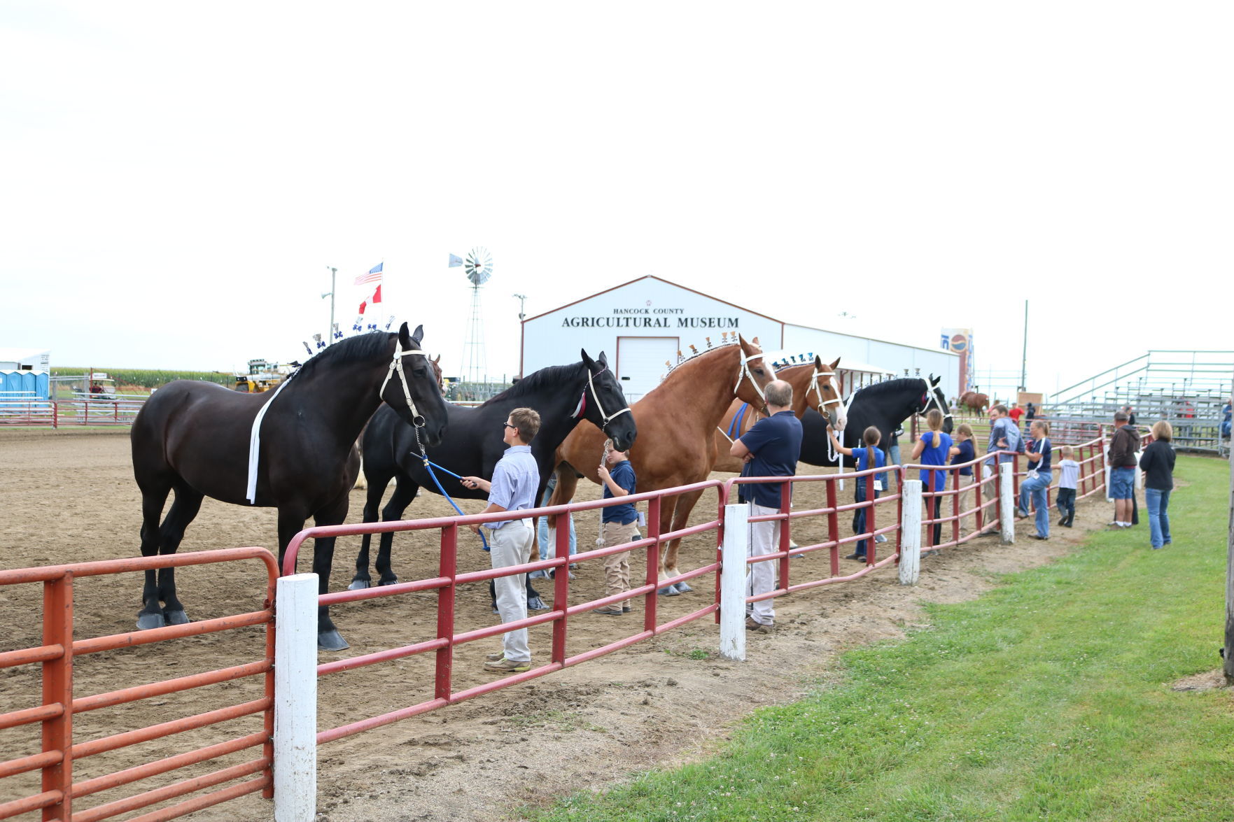 Jr Showmanship 1